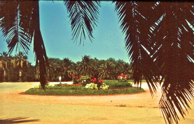 Jardin Oran (3) 650X416.jpg
